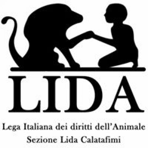 Foto dell'associazione