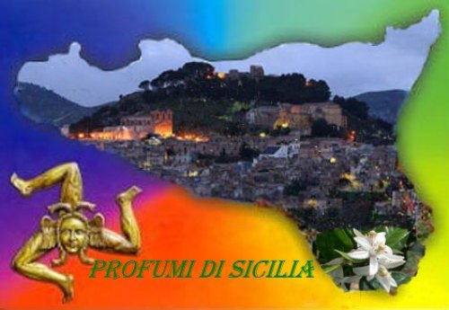 Foto dell'associazione